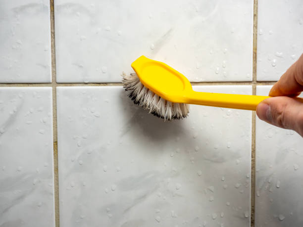 Best Mold Testing  in St Michael, MN