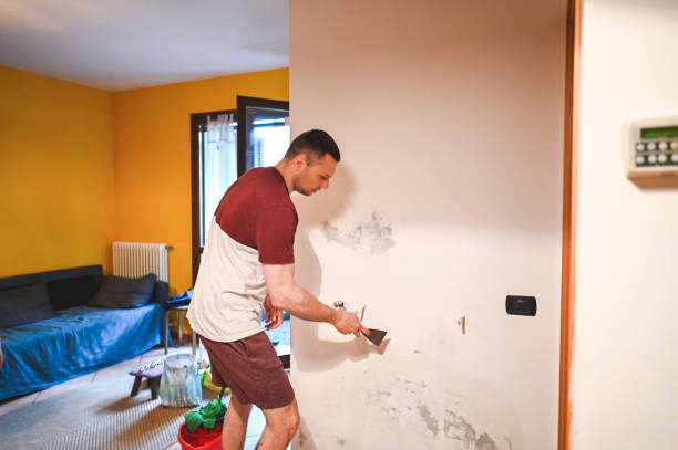 Best Emergency Mold Removal  in St Michael, MN